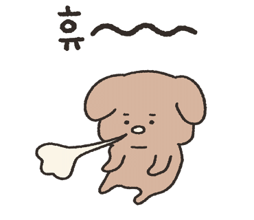 오로라식당 이미지