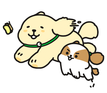 파파비오랩 이미지