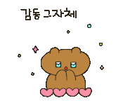 홀리데이베어 이미지
