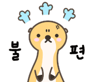 다나두피 이미지