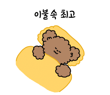 아이벨라 이미지