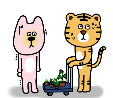 식물카페아단소니용황점 이미지