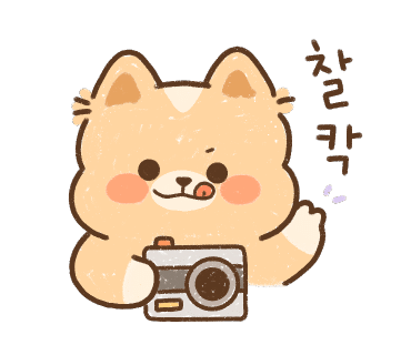 코시나(Cocina) 이미지