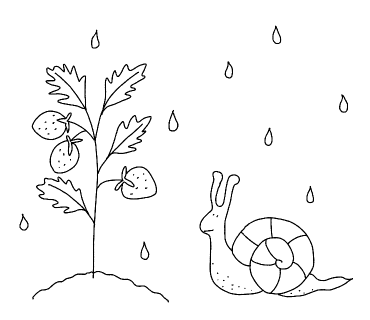 멜버른승마 이미지