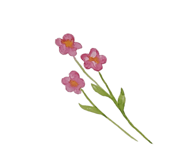 삼정기획 이미지