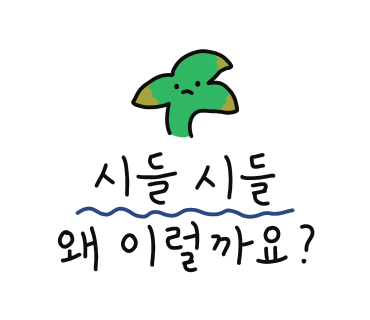 아이오니 이미지