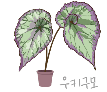 정기농약사 이미지