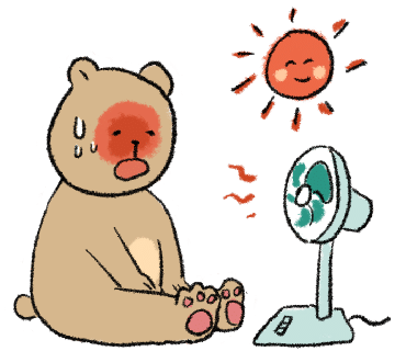 진미가효 이미지