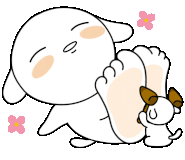 본가발 이미지