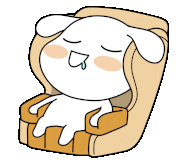 본가발 이미지