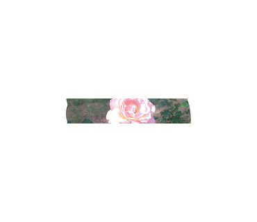 루잇 이미지