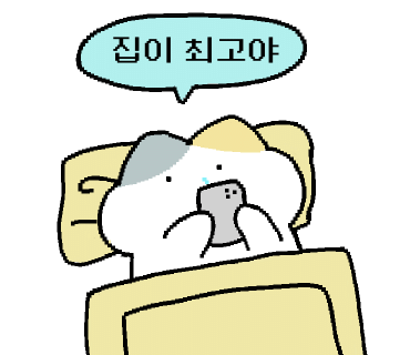 OWL(아울) 이미지