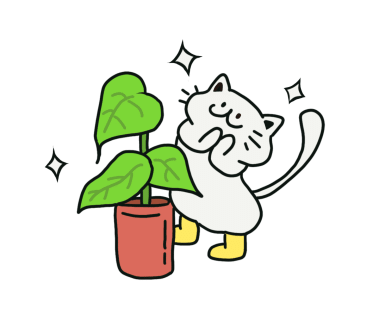 월수금;꽃 이미지