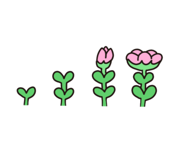 월수금;꽃 이미지
