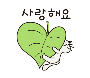 월수금;꽃 이미지