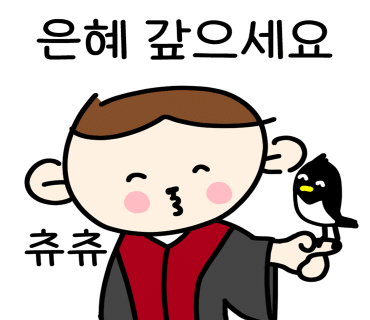 솔로몬국제여행사 이미지
