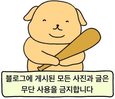 요아정대구 이미지