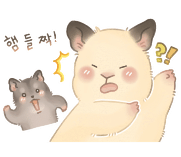운봉정육식당 이미지