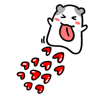 볼더하이웨이클라이밍짐 이미지