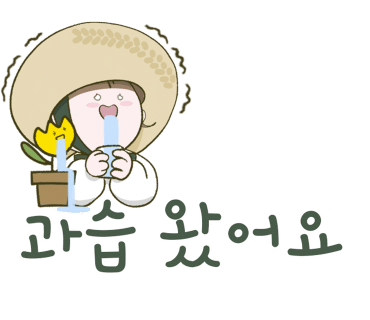 콘치 이미지