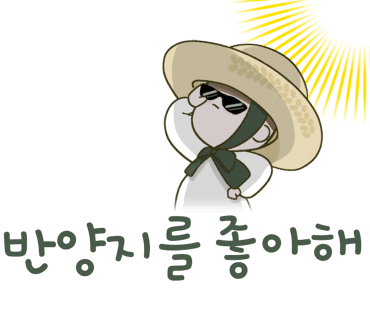 아글라오네마 이미지