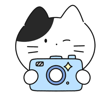 치트델리 이미지