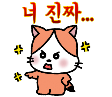 마켓라인 이미지