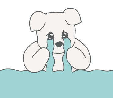 폴라리스다옴 이미지