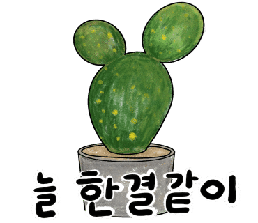 호야칼국수 이미지