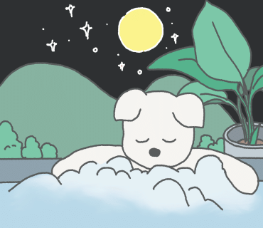 요미살롱 이미지
