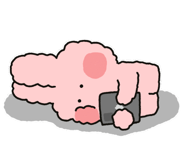 술집정 이미지
