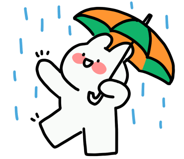 카워시서비스 이미지