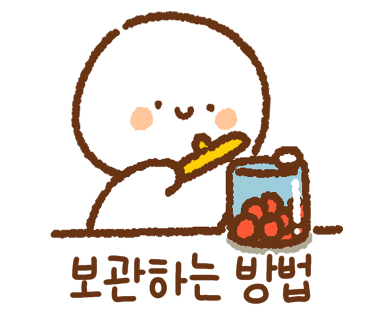 제주미르 이미지