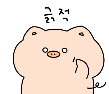홋코리 이미지