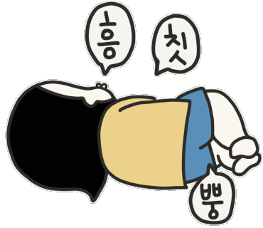 메이비제주 이미지