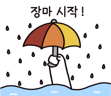 모토카워시 이미지