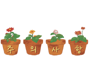 식물101 이미지