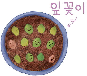식물101 이미지