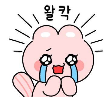 나니스쇼콜라 이미지