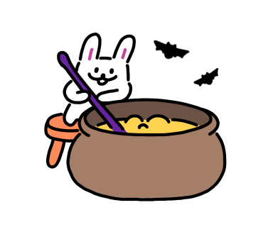 씨더메종 이미지