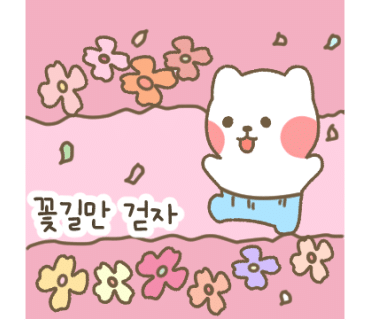 디디다 이미지