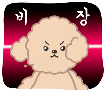 쇼카페(SHOW CAFE) 이미지