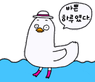 아카보시 이미지