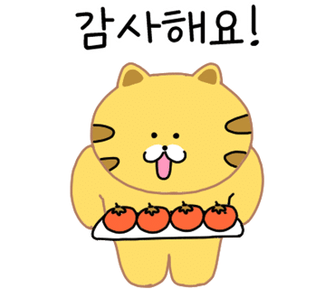 영진광택 이미지