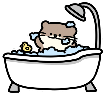 깡돈 이미지