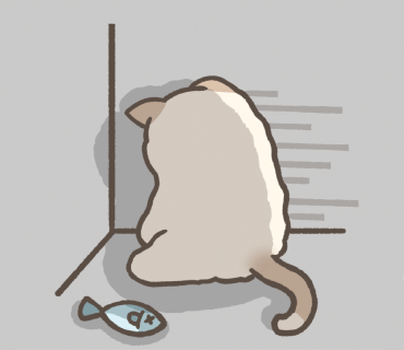 얼큰이칼국수와쭈꾸미 이미지