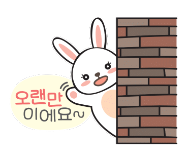 또화반점 이미지