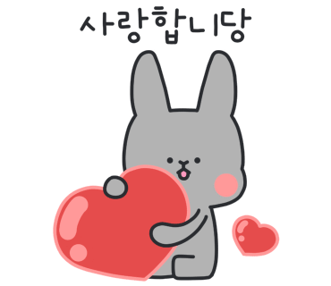 씨더메종 이미지