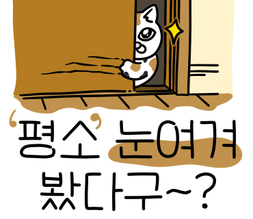 일층집 이미지