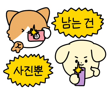 코지(COZY) 이미지